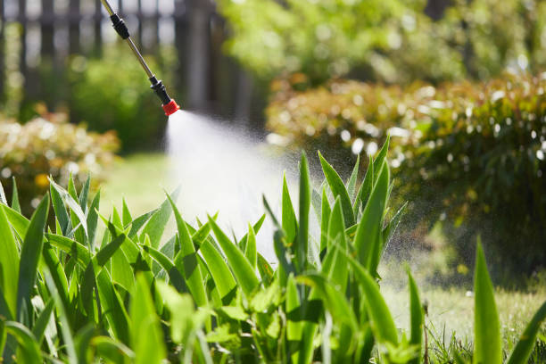 Tamper-Resistant Bait Stations for Rodents in Los Banos