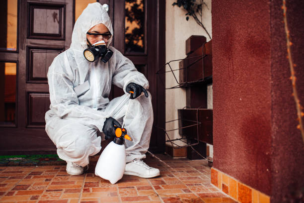 Attic and Crawl Space Rodent Treatment in Los Banos