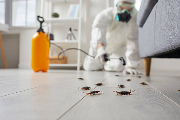 Commercial Rodent Management in Los Banos